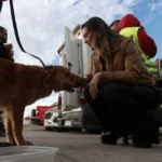 “prohibirlas-y-sancionarlas”:-la-serena-impulsa-ordenanza-contra-las-carreras-de-perros