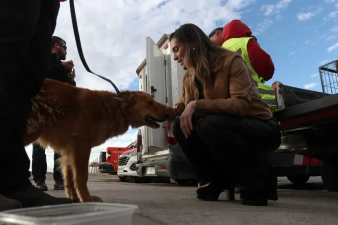 “prohibirlas-y-sancionarlas”:-la-serena-impulsa-ordenanza-contra-las-carreras-de-perros