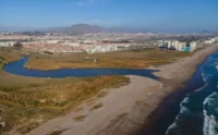 desembocadura-del-rio-elqui-retoma-el-camino-para-ser-declarada-humedal-urbano