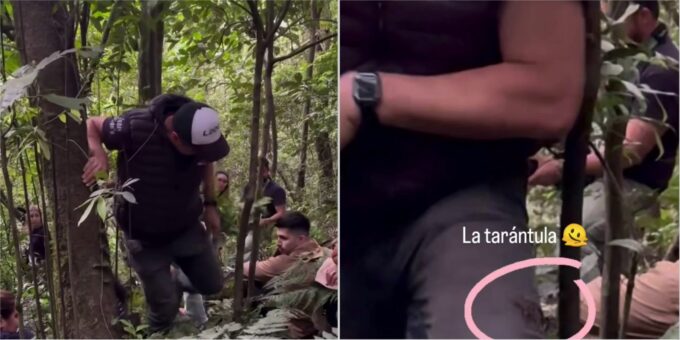 (video)-¡chiche-corte-vivio-un-sustazo-en-medio-del-monte!
