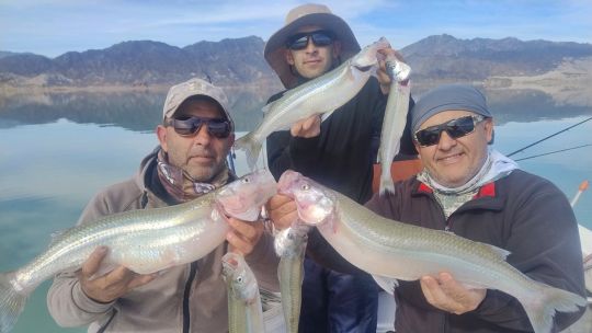 los-pejerreyes-de-mas-de-2-kilos-todavia-tienen-destino:-las-excepciones-a-la-veda