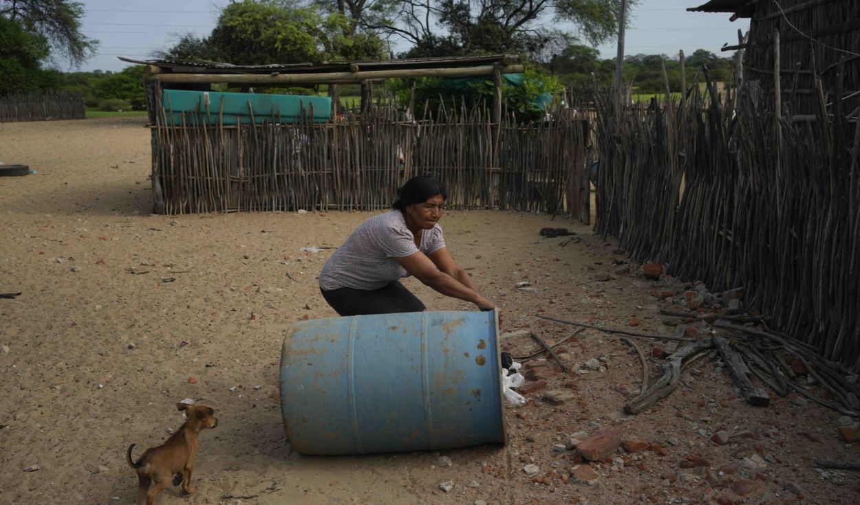 dengue-ya-deja-15-muertos-en-san-martin-y-supera-los-7.000-casos-entre-cifras-bajas-de-vacunacion