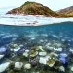 calor-recorde-dos-oceanos-ameaca-a-economia-do-planeta