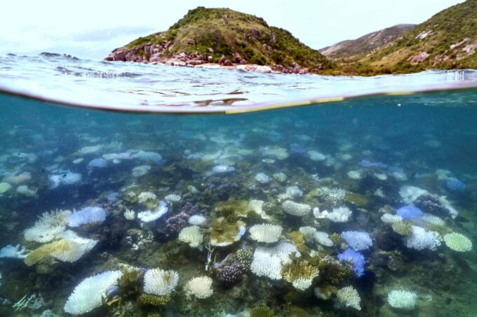 calor-recorde-dos-oceanos-ameaca-a-economia-do-planeta