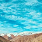 capel-entregara-bonos-y-creditos-de-emergencia-para-ayudar-a-sus-cooperados