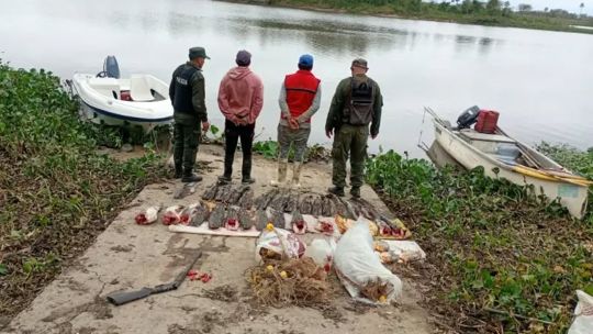 depredacion-pesquera:-decomisaron-39-surubies-y-redes-en-una-zona-donde-esta-prohibida-la-pesca-comercial