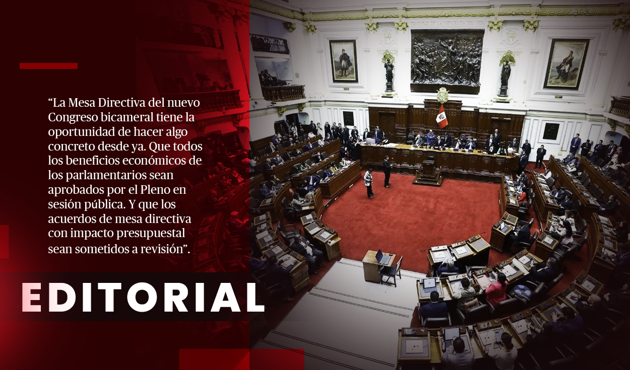 los-privilegios-parlamentarios-deben-revisarse