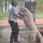 (video)-¡publican-videos-ineditos-de-hugo-javier-antes-de-ser-encarcelado!