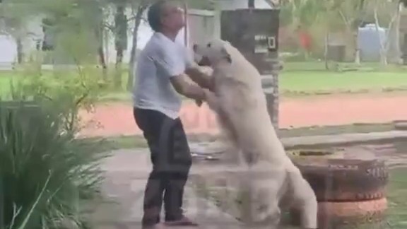 (video)-¡publican-videos-ineditos-de-hugo-javier-antes-de-ser-encarcelado!