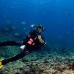 si-vas-a-panama-tendras-seguro-de-viaje-gratis-durante-los-primeros-10-dias-de-estadia