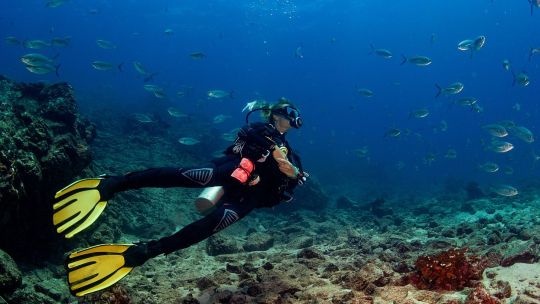 si-vas-a-panama-tendras-seguro-de-viaje-gratis-durante-los-primeros-10-dias-de-estadia