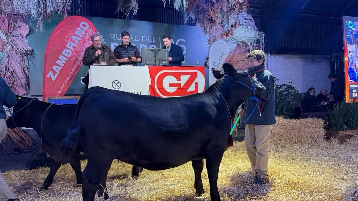 en-la-expo-rural-del-prado-una-ternera-angus-logro-un-valor-de-us$-21.600-en-el-remate-“campeonas”
