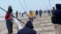 la-pescadilla-no-aparecio-y-el-pez-elefante-fue-la-gran-figura-de-la-fiesta-de-pinamar