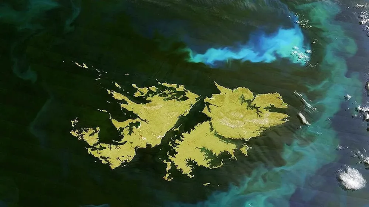 vicecanciller-csukasi-senalo-que-la-queja-de-la-embajada-de-argentina-sobre-el-stand-de-islas-malvinas-en-prado-es-“de-todos-los-anos”-y-admitio-que-pedido-de-cancilleria-a-legisladores-fue-un-“error”