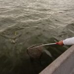 veda-del-pejerrey-2026:-dias-habilitados,-lagunas,-cupos-y-todo-lo-que-debe-saber-el-pescador
