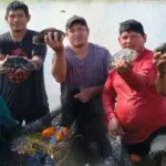 impulsan-sistema-integrado-de-produccion-de-peces-y-arroz-en-beni