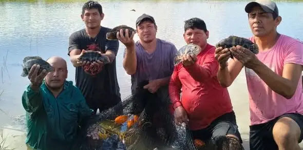 impulsan-sistema-integrado-de-produccion-de-peces-y-arroz-en-beni