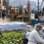 economia-peruana-crecio-3,56%-en-julio,-pero-pesca,-agro-e-industria-frenaron-un-mayor-avance