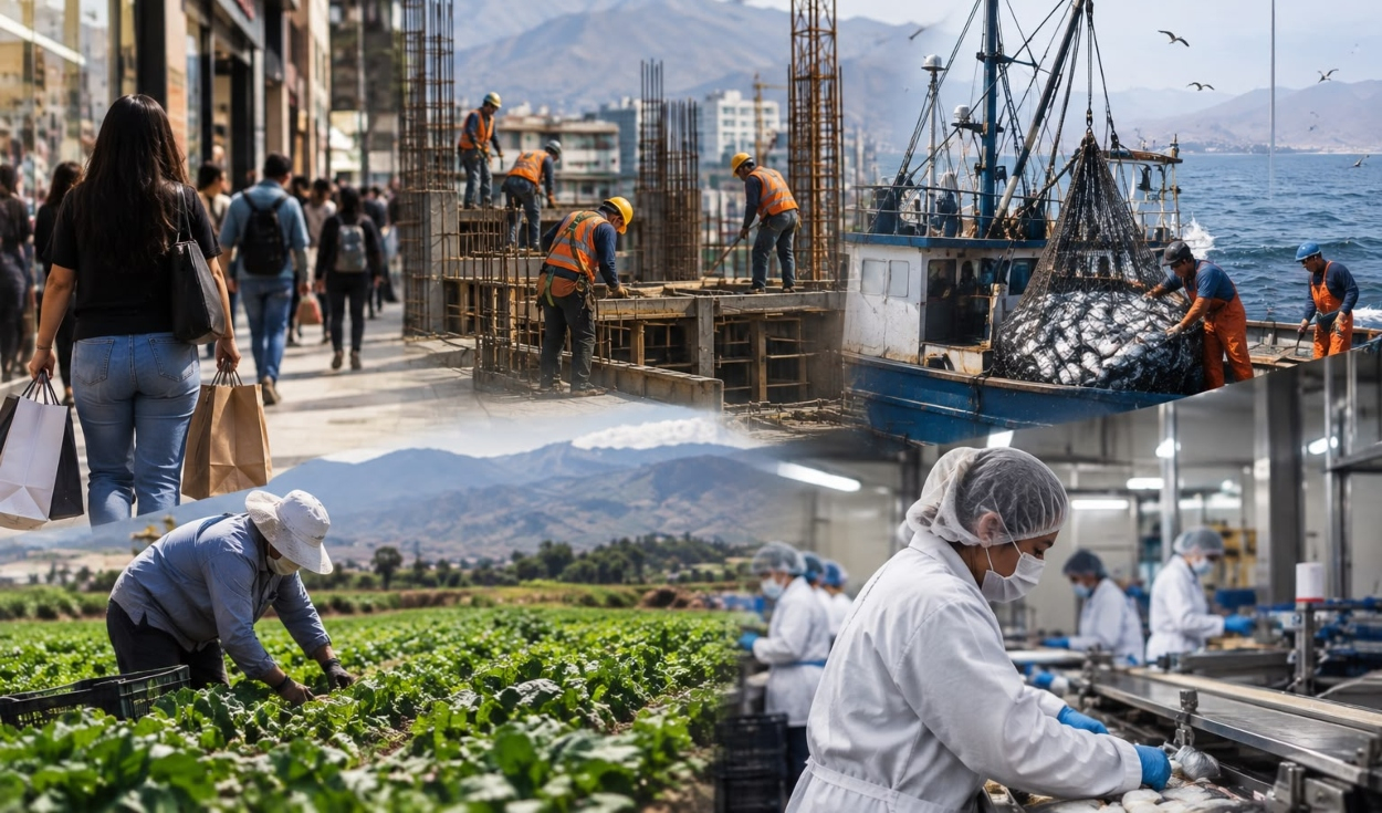 economia-peruana-crecio-3,56%-en-julio,-pero-pesca,-agro-e-industria-frenaron-un-mayor-avance