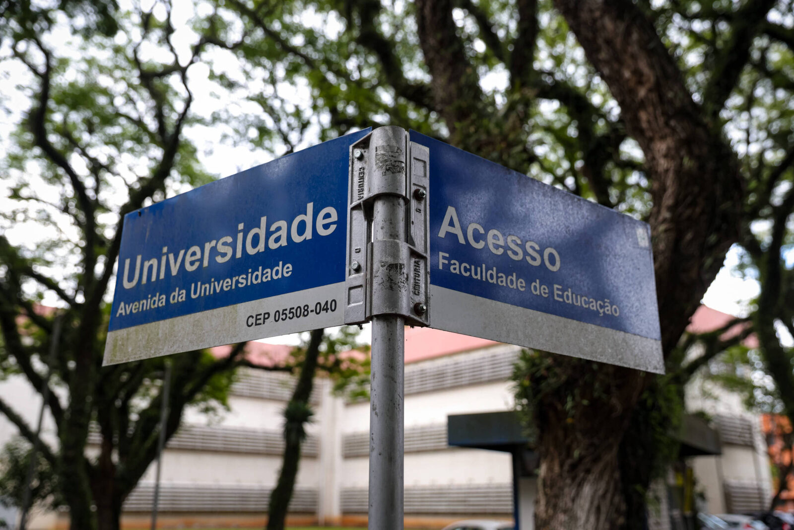 pretos,-pardos-e-indigenas-representam-4%-dos-professores-da-usp;-topo-da-carreira-tem-menos-diversidade