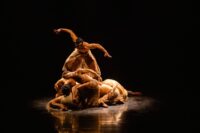 semana-paulista-de-danca-tem-bale-de-dom-quixote-e-cenario-de-beatriz-milhazes