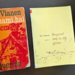 de-brede-schouders-van-bea-vianen