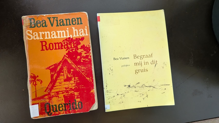 de-brede-schouders-van-bea-vianen