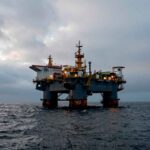 court-halts-sea-lion-project-in-malvinas,-orders-environmental-impact-assessment
