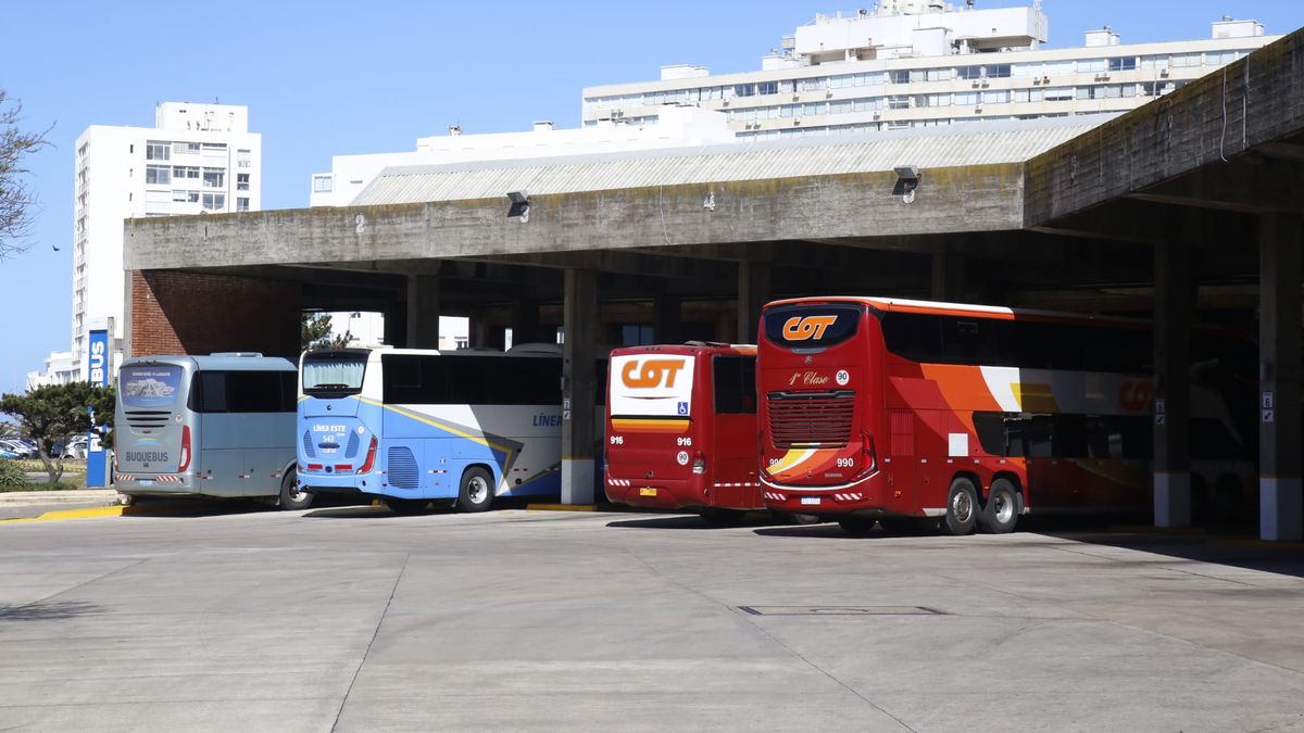 los-omnibus-seguiran-entrando-a-punta-del-este-esta-temporada:-la-intendencia-dio-marcha-atras