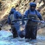 la-ruta-de-las-truchas:-como-tierra-del-fuego-prepara-el-repoblamiento-de-sus-rios-y-lagos