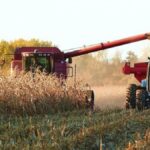 el-optimismo-de-los-productores-agropecuarios-en-argentina-duplica-al-de-eeuu:-cuales-son-las-tres-razones