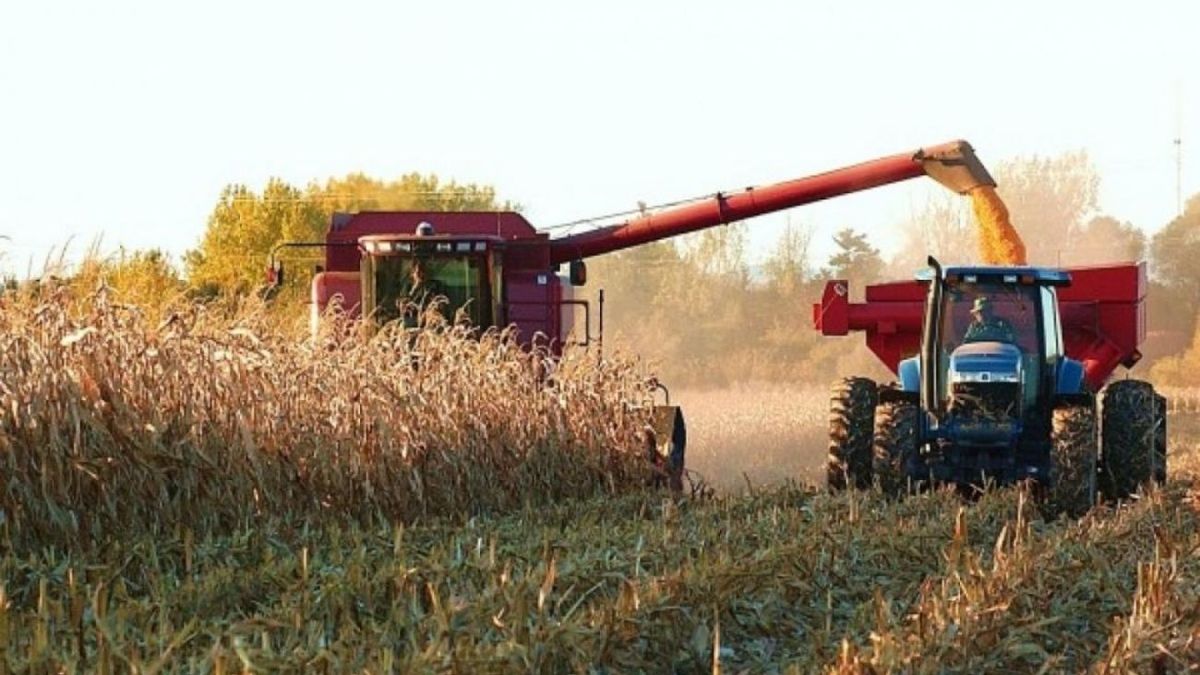 el-optimismo-de-los-productores-agropecuarios-en-argentina-duplica-al-de-eeuu:-cuales-son-las-tres-razones
