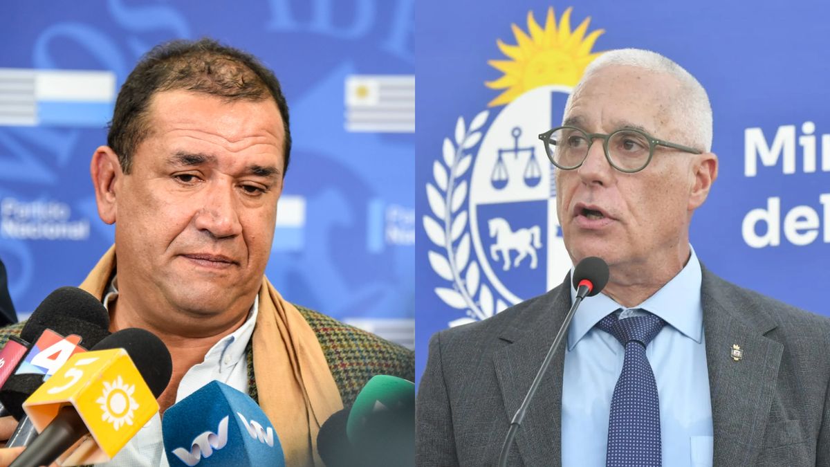 da-silva-cuestiono-el-ingreso-“raro”-de-ciudadanos-de-albania,-montenegro-y-serbia-y-el-ministro-carlos-negro-respondio-que-la-diferencia-entre-entradas-y-salidas-es-“muy-minima”
