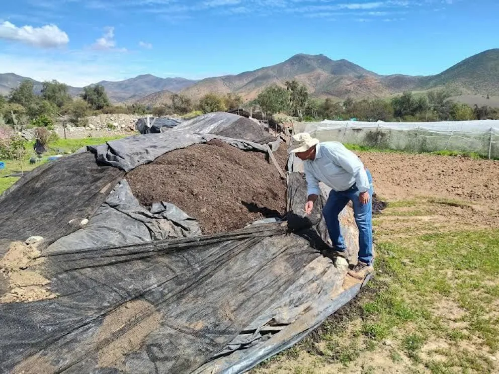 indap-entrega-220-metros-cubicos-de-compost-a-agricultores-de-monte-patria