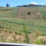q500-millones-seran-destinados-a-asistencia-alimentaria-por-efectos-de-el-nino