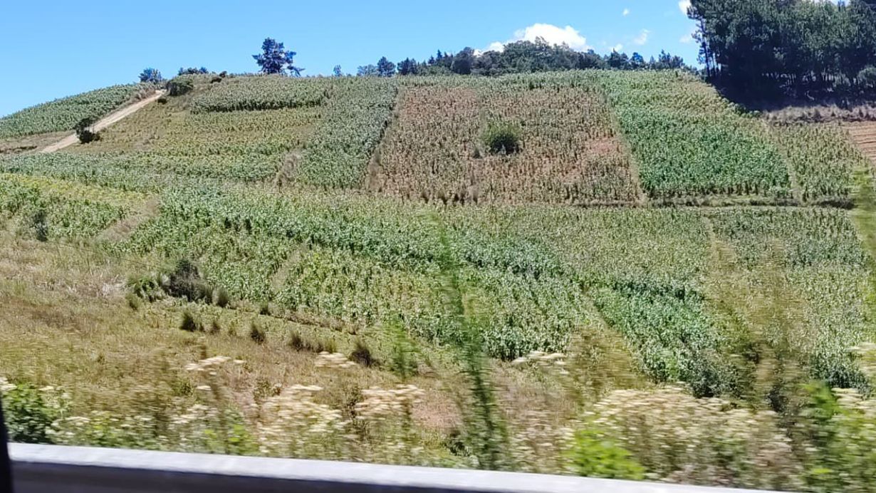 q500-millones-seran-destinados-a-asistencia-alimentaria-por-efectos-de-el-nino