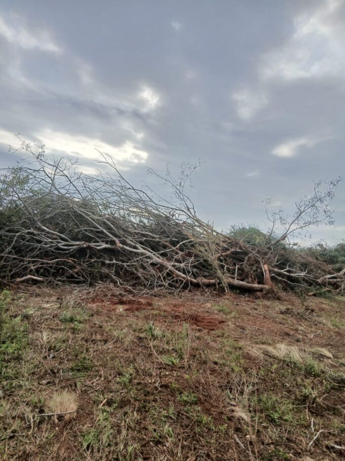 itacurubi:-exigen-freno-a-las-quemas-y-al-cultivo-masivo-en-rubio-nu