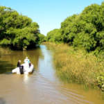la-provincia-reglamento-el-uso-de-tierras-fiscales-en-las-islas-del-delta-y-creo-un-registro-especifico