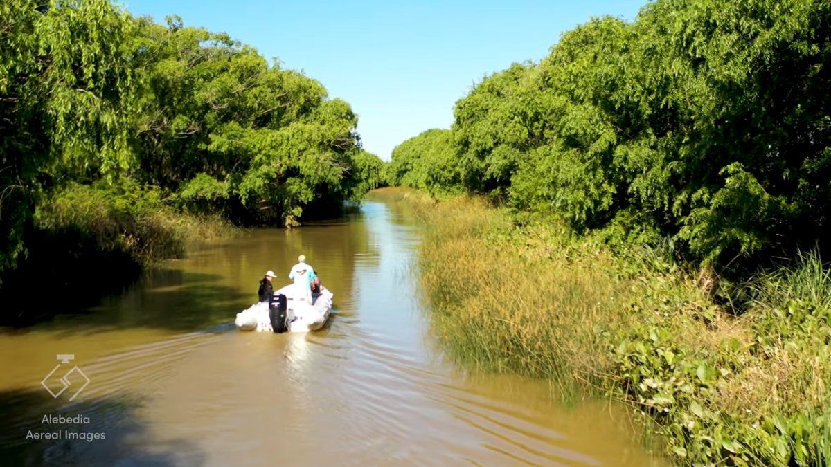 la-provincia-reglamento-el-uso-de-tierras-fiscales-en-las-islas-del-delta-y-creo-un-registro-especifico