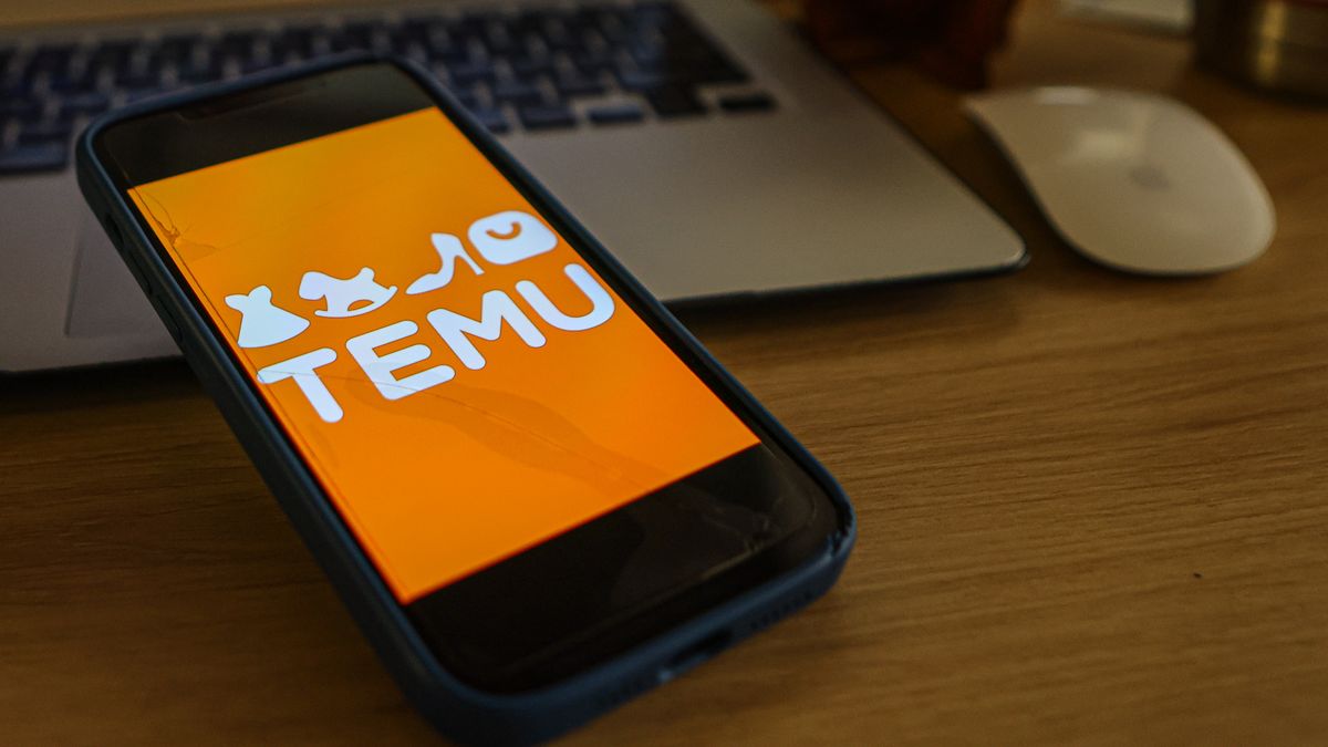 compras-web-en-el-exterior-profundizan-caida-en-agosto-y-volvieron-a-cantidades-previas-al-“efecto-temu”