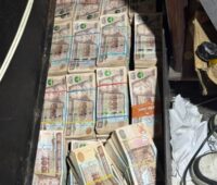 cerca-de-q2-millones,-armas-y-drogas-incautados-en-operativo-contra-presuntos-pandilleros-de-la-ms