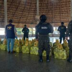 desde-este-ano,-guatemala-viene-siendo-incluida-entre-los-paises-donde-transita-la-droga