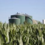 agroindustriales-celebraron-la-media-sancion-a-la-ley-de-biocombustibles-y-proyectan-inversiones-por-u$s1.000-millones