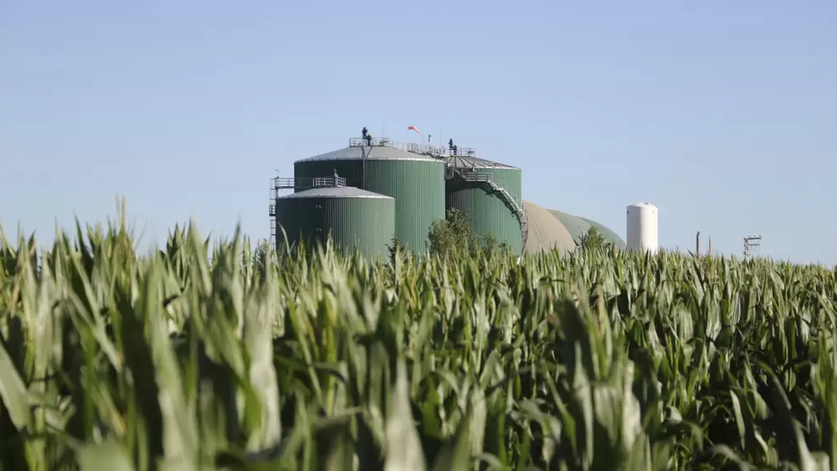 agroindustriales-celebraron-la-media-sancion-a-la-ley-de-biocombustibles-y-proyectan-inversiones-por-u$s1.000-millones