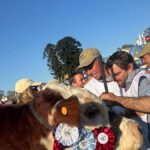 el-campeon-supremo-del-hereford-en-la-rural-del-prado:-“el-toro-que-sonamos-para-nuestros-campos-y-nuestras-vacas”