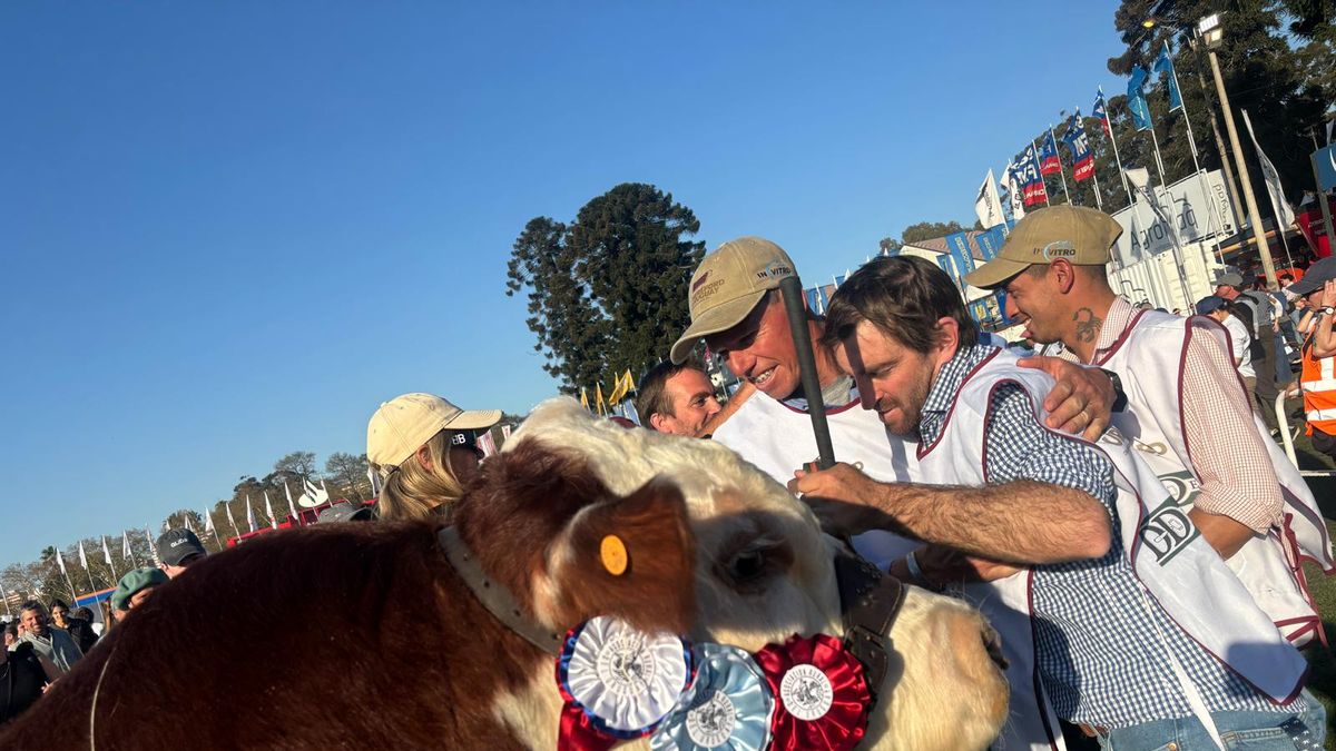 el-campeon-supremo-del-hereford-en-la-rural-del-prado:-“el-toro-que-sonamos-para-nuestros-campos-y-nuestras-vacas”