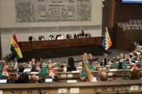diputados-aprueba-creditos-de-$us-1.900-millones-del-fmi;-ahora-debe-tratarlo-el-senado