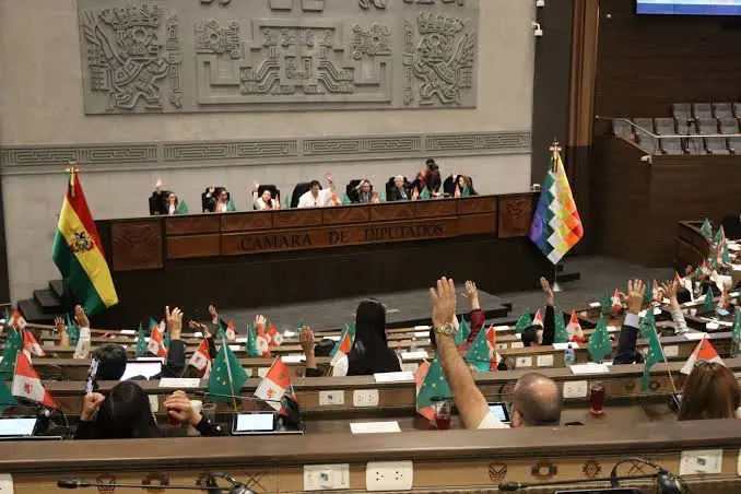 diputados-aprueba-creditos-de-$us-1.900-millones-del-fmi;-ahora-debe-tratarlo-el-senado