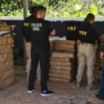 policia-encontra-duas-toneladas-de-maconha-em-carga-de-repolho-em-sc