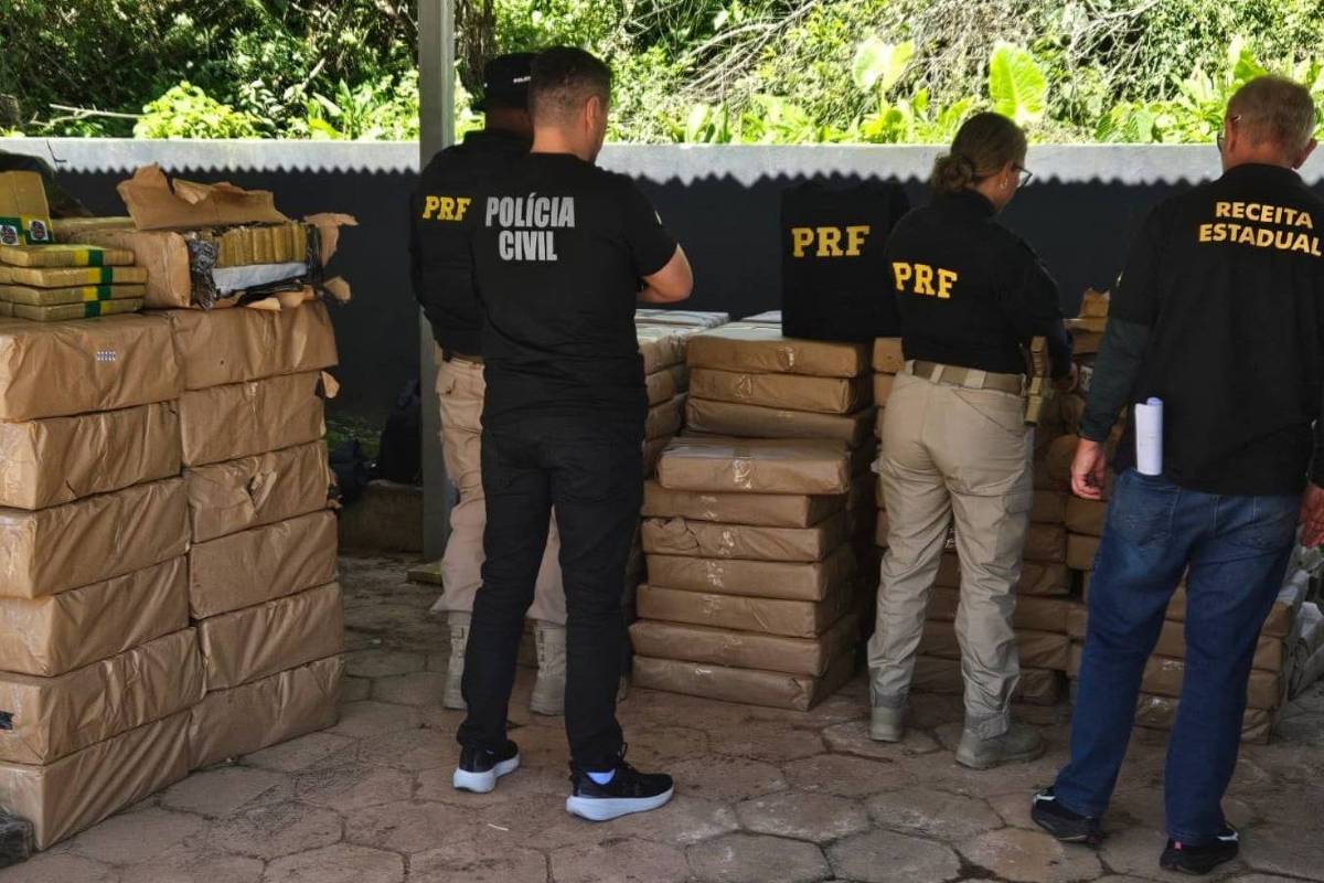 policia-encontra-duas-toneladas-de-maconha-em-carga-de-repolho-em-sc